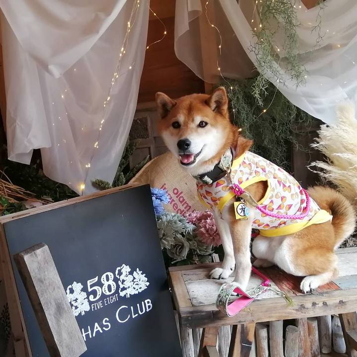 Cb204608 0802 46ee ae3d 9933f6dd2d70 1713751832503