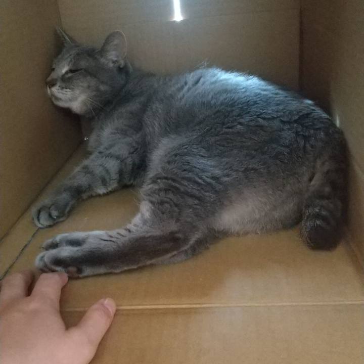 Cb208dc5 f994 482c b8af 41b202564744 1663372604307