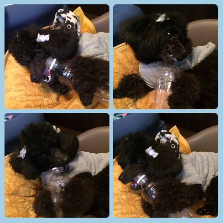 Cb20c3ed 2d3c 4455 8339 3f25eb78ae80 1553559369927