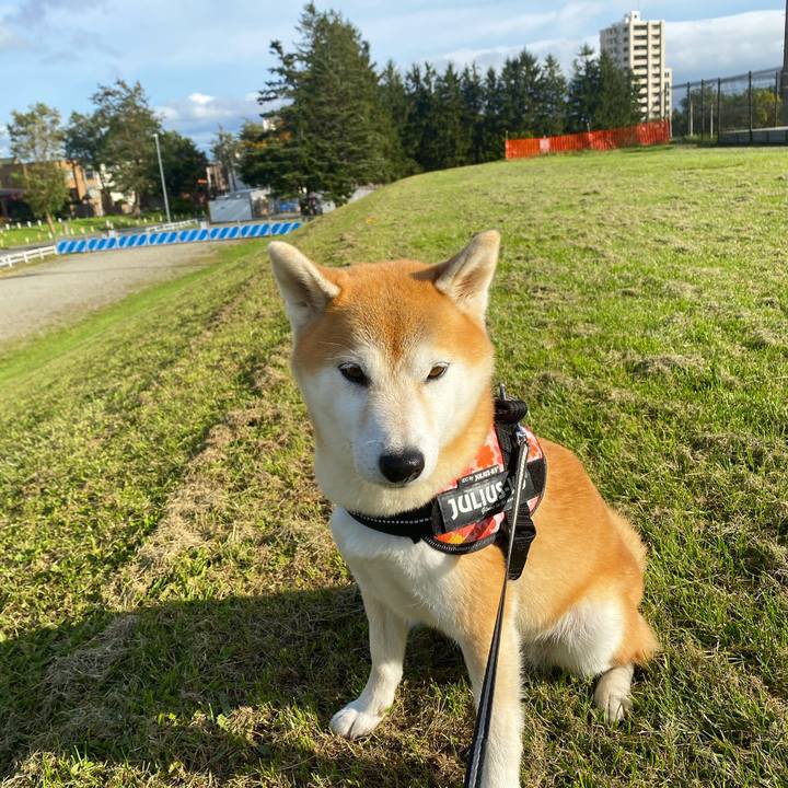 Cb20cace ef50 4f8f b675 9c5b9d75e2d8 1602463206080