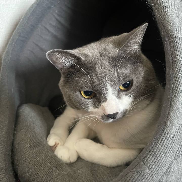 Cb20d3ab e85e 42e3 8d5b d323d799fa8e 1664407773953