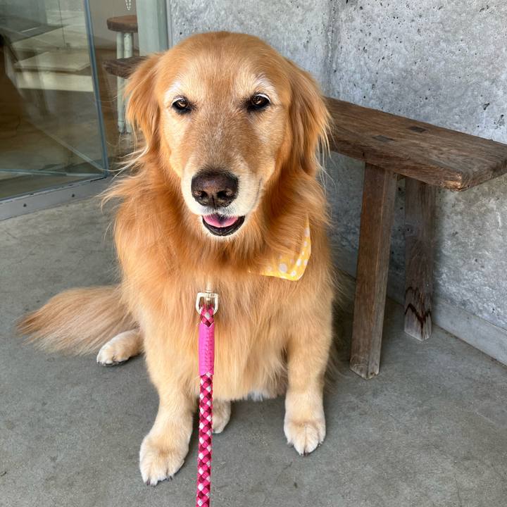 Cb210c74 61c2 4d7b ba6b ab0e30af2952 1717652204028