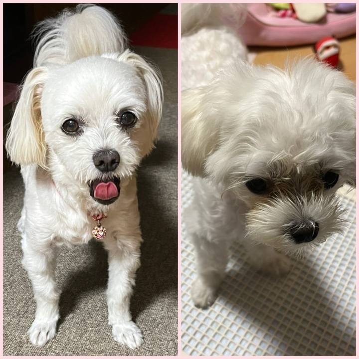 Cb21117c 5f5d 4998 83a6 aacc1b126174 1719838330899