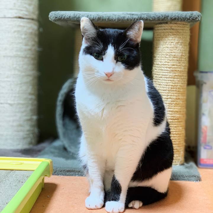 Cb211d31 fe99 4dc5 9ba7 5b99ba6975f6 1553659330159