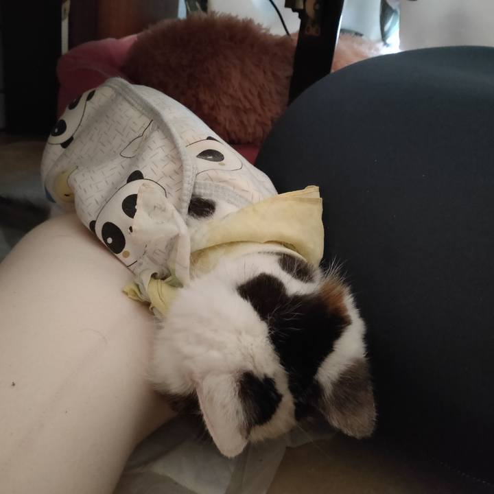 Cb211fff 08b0 4cb8 be2d cb527cf5ce0f 1608360919509