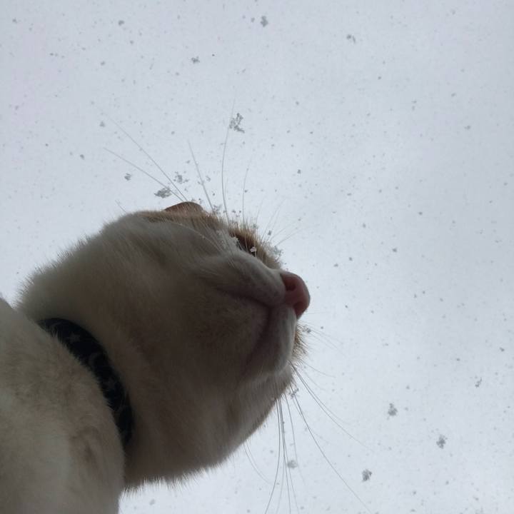 Cb2184ae d402 4591 9b75 0fa173d628cd 1512778104381