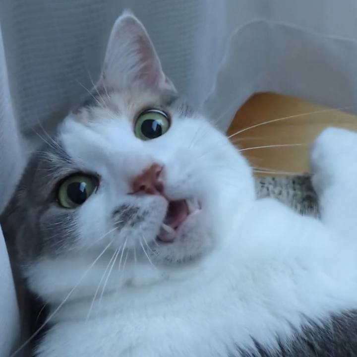 Cb219f27 4aac 4318 b333 274b529b096d 1686886537278