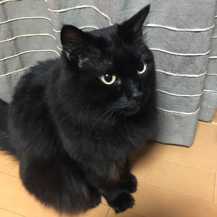 Cb21b0d9 a28f 496b 9de5 171b9ec58550 1530979302449