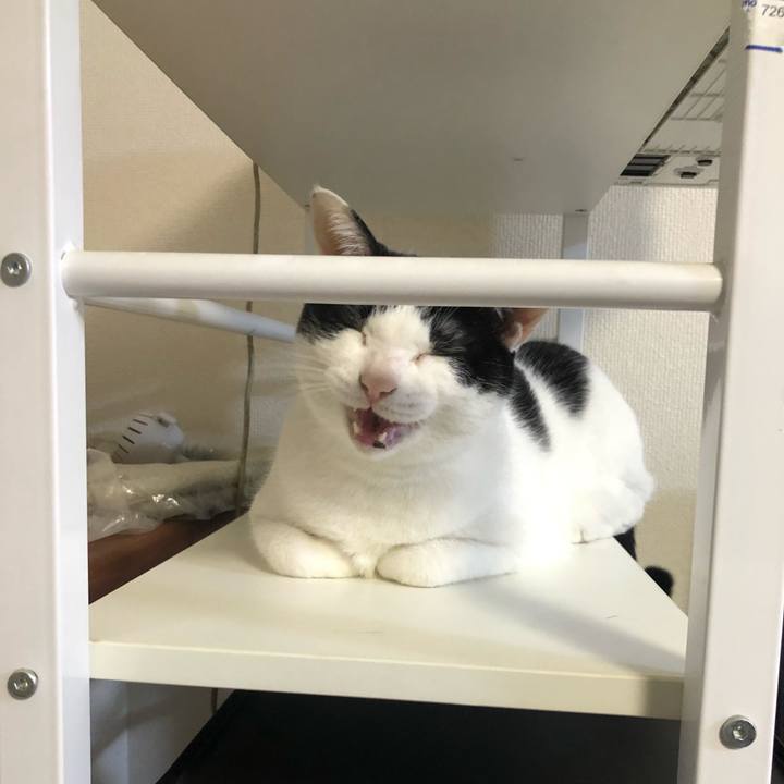 Cb21bf36 e53f 4fd3 bfec cc0d227ee9cb 1620819466215