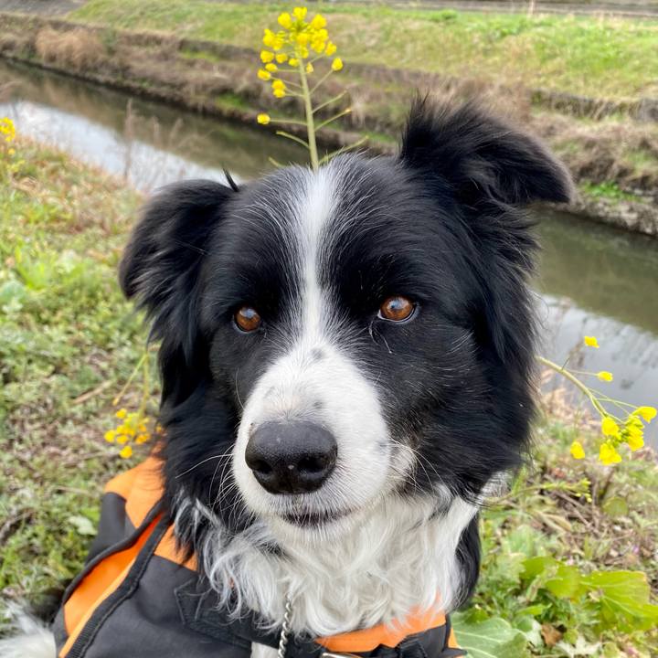 Cb21fe9a 74cd 4163 8747 586efd6b4f0b 1612312692966