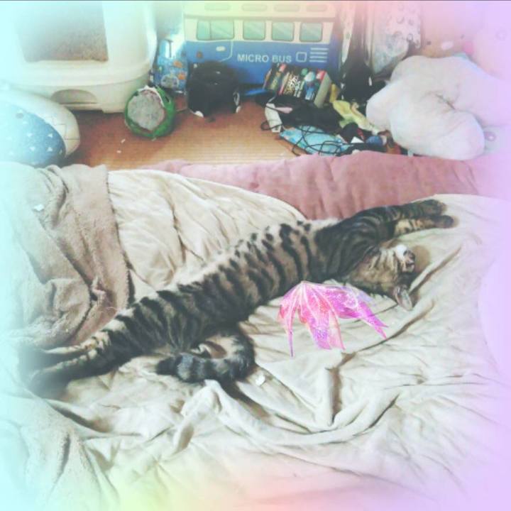 Cb2201d4 e98e 408f 8e9c 55b878f7fea8 1541809275039