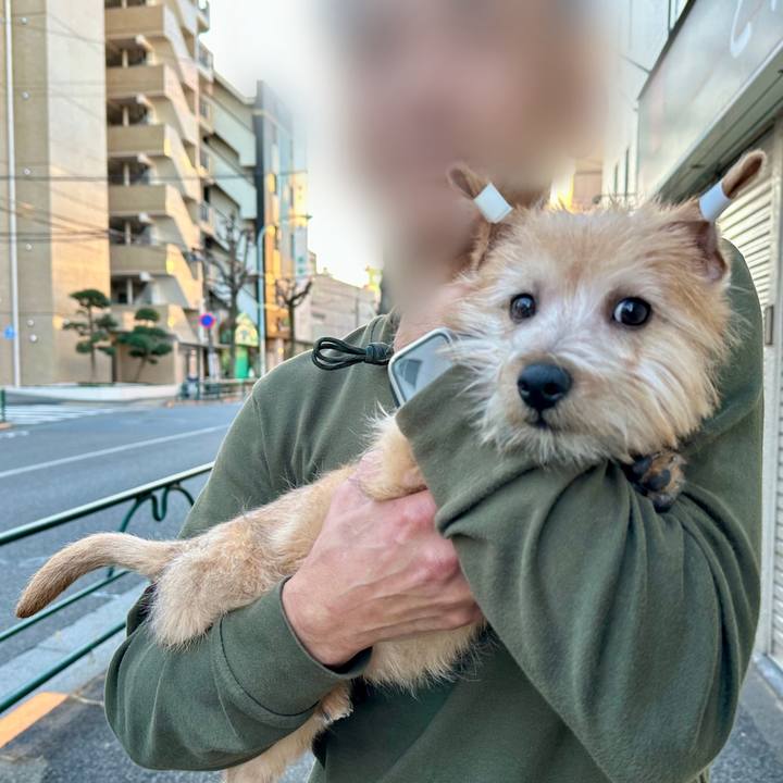 Cb220618 fbf3 48d5 9aca eb26285eabb6 1704717431502