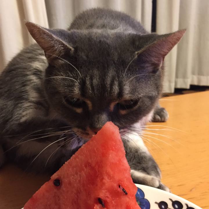 Cb221d3d 2650 4bad b7ad 32db5d4a7047 1531660617329