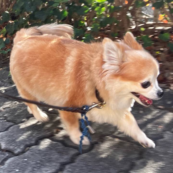 Cb22295e b892 4d0e 83bb 2eb4d32d96c7 1762314781324