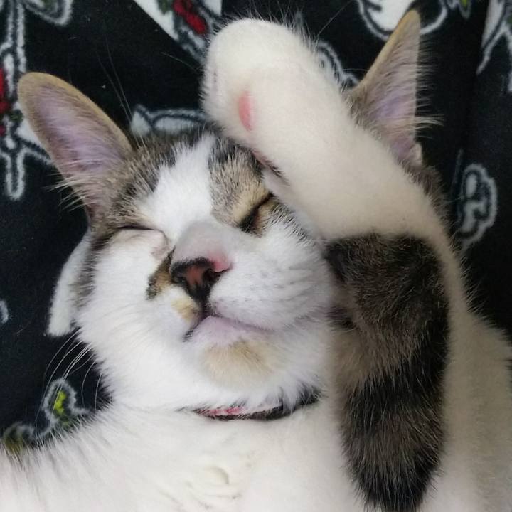 Cb229d4d c7ac 470b 9a16 b6738f72cb01 1614082457802