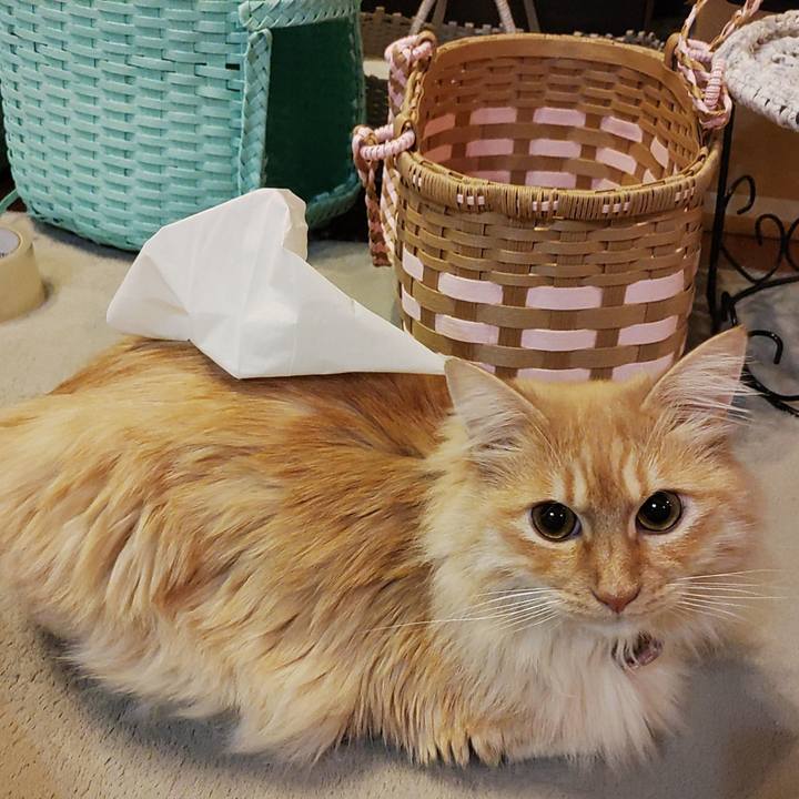 Cb22c2de 751c 48e8 97fb f3790ed2b199 1673697928481