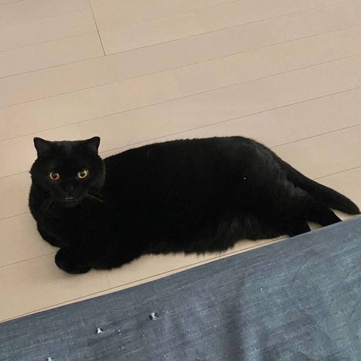 Cb22cbea 455f 4aad 9ed1 174f22c3b3c2 1685178527082