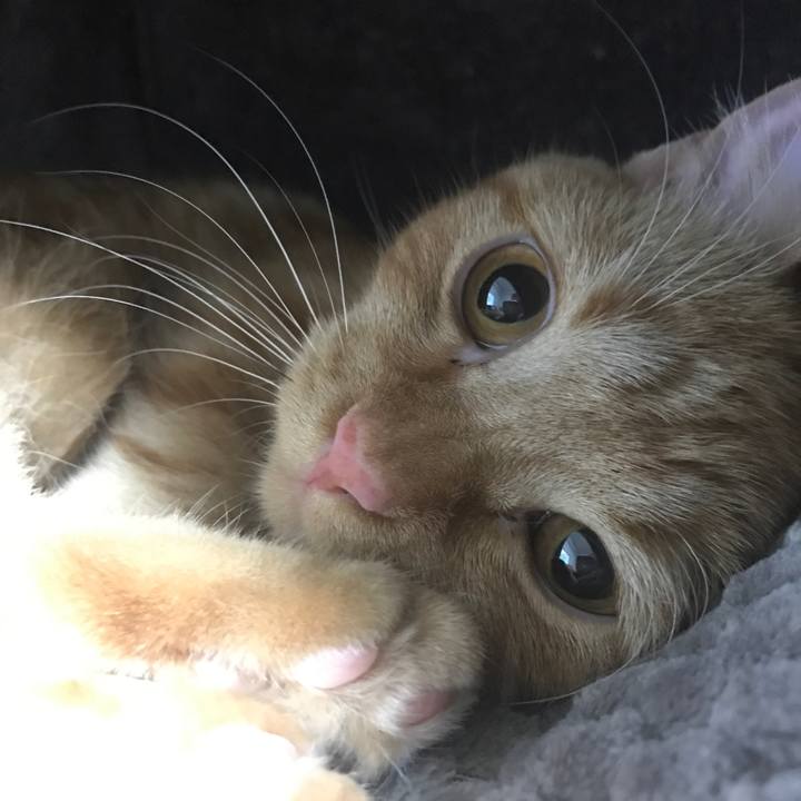 Cb22e36d 5d06 46c0 b5fb 849bae58ce5b 1511276392140