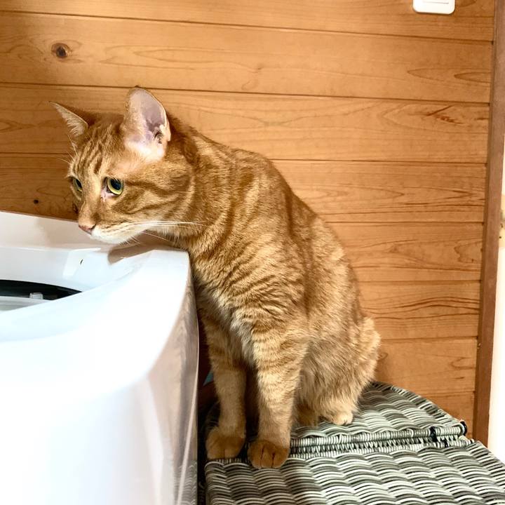 Cb22e477 54ad 410c b396 6c58bf67b13b 1593143934092