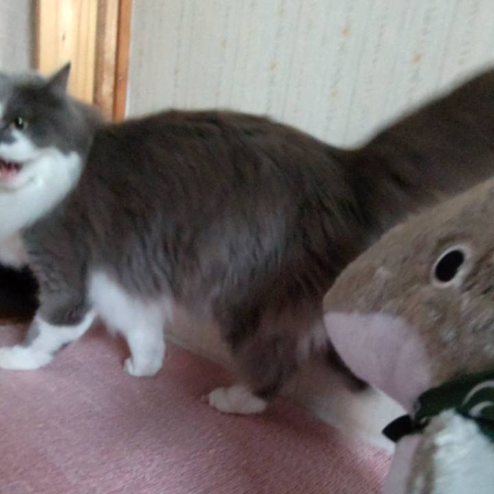 Cb235291 d257 4fe7 ad17 bc9d497b6375 1683108525647