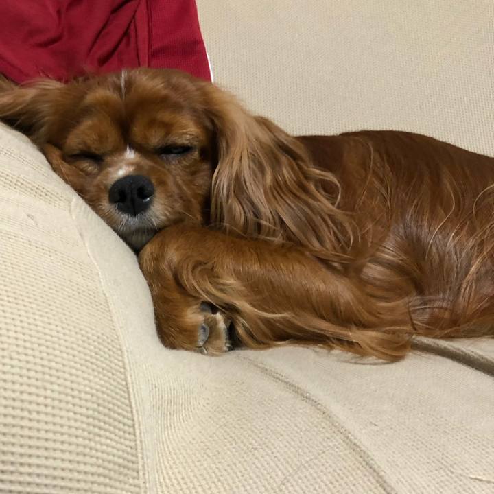 Cb235c20 82ee 44b4 8c83 e7eea1f050f5 1589379216907