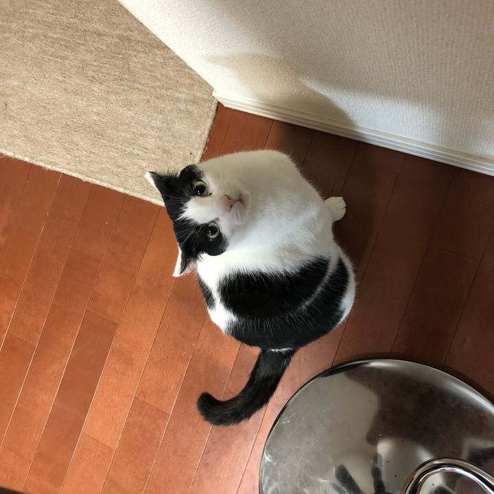 Cb235ca1 3bef 4d5c a686 30c4fb9e3d19 1521555629972