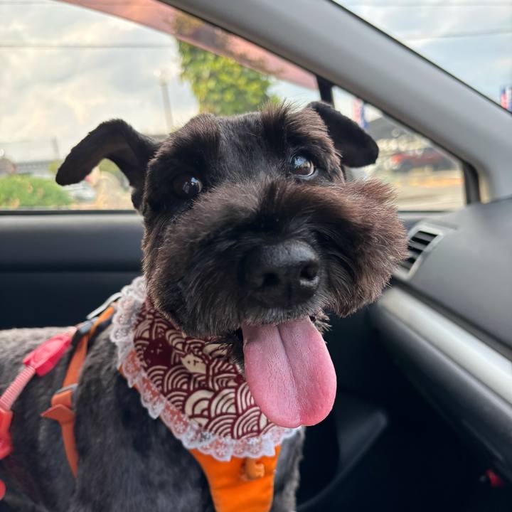 Cb23eb7c a074 46dd bd54 d998fc791a32 1757492779848