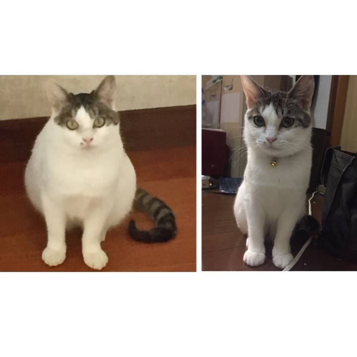 Cb23f19a 35cc 458a 9733 0a8eb4964505 1541757436036