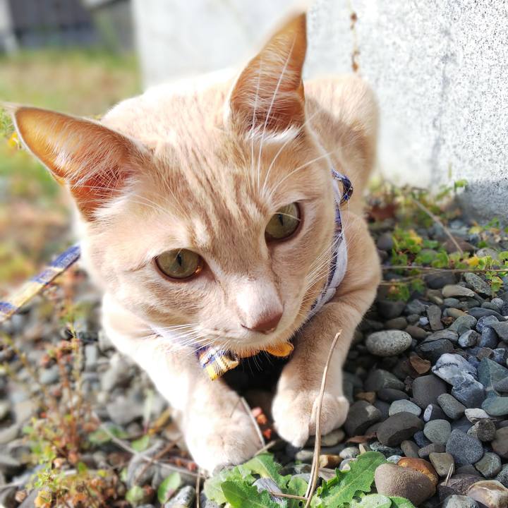 Cb23fb7c 0192 40b1 8f64 31cfa54a0bf0 1571709290436