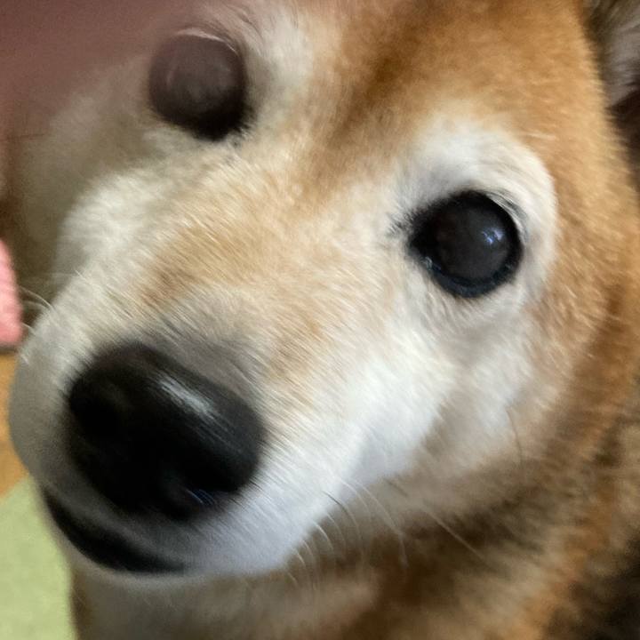 Cb242a3f b8d6 488d af36 cf4e44e5329b 1670481247973