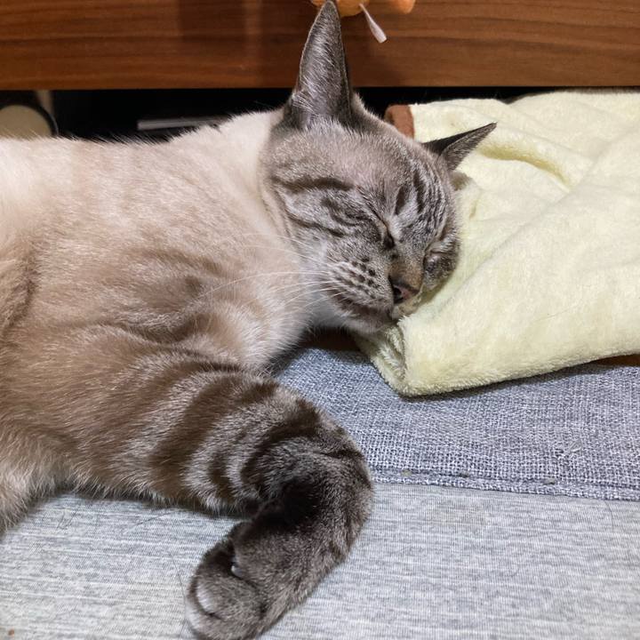 Cb244363 5e66 48b9 b11e 4316b35e9f09 1764429986346