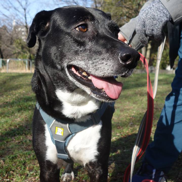 Cb24704e b896 4c7a 85d7 91e88ae8df73 1708740150223