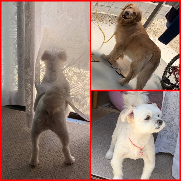 Cb247e5b 5a84 43dc 84fe 84cdc8ccab17 1588648480540