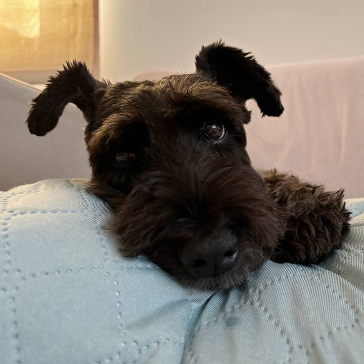 Cb2489db 6853 4c45 a049 d2558e005054 1759882295028