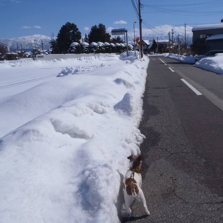 Cb249aee 156b 4613 b316 189b48b51cee 1518616297591