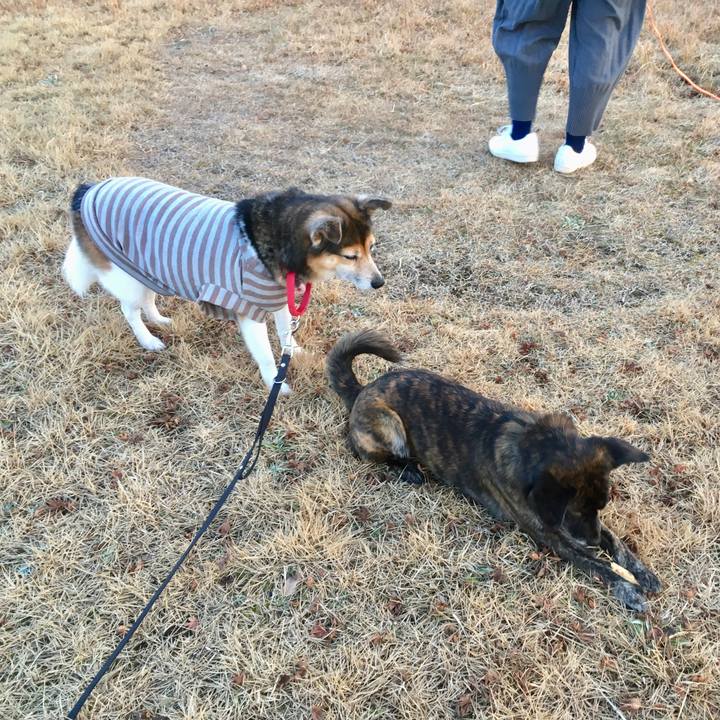 Cb24aa82 05a0 4488 ae9d 0c38a4ba2dad 1516537575053