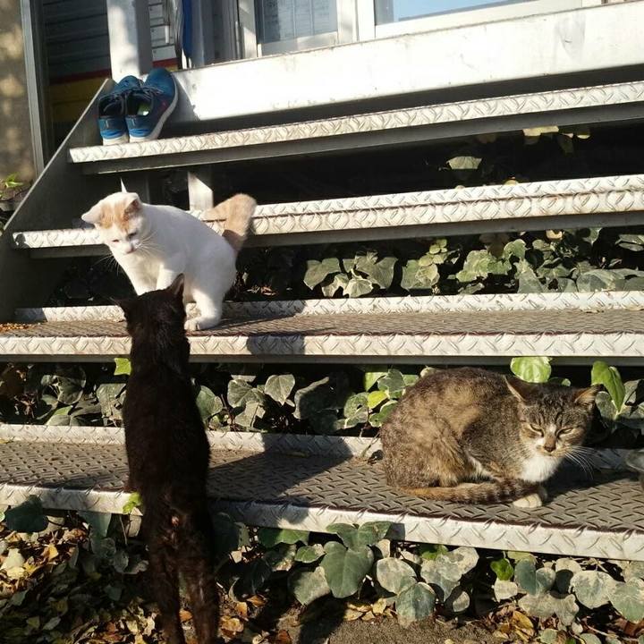 Cb24b5d2 29b1 49f0 aa70 18ff310f6575 1510884872556