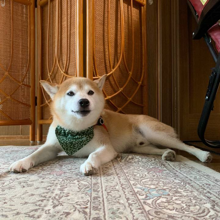 Cb24c75a 948b 4814 8976 72abcbee3f82 1691494797804