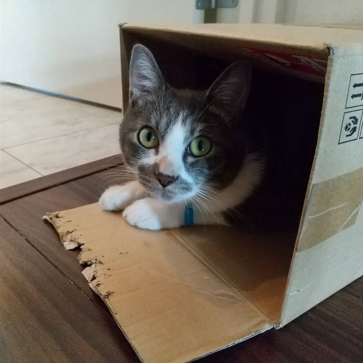 Cb24c889 c766 4e15 933b ba38f750f000 1601680420566