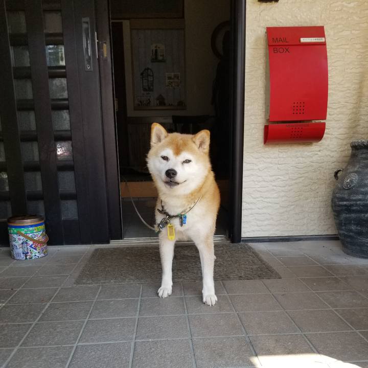 Cb24d16f eba5 4809 920e 0e5cb9f9bf7c 1627880618634