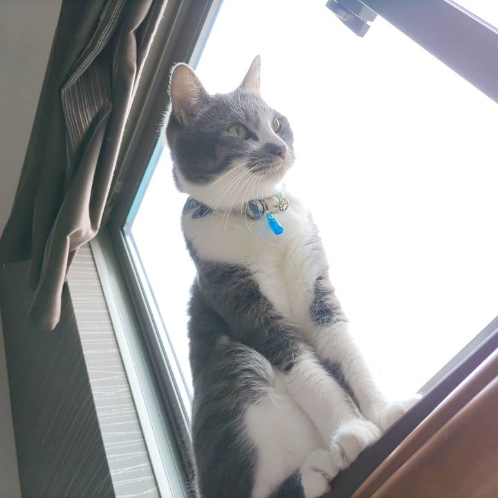 Cb24da82 3edd 4d4f afc3 3afca0f2c5dc 1680922307646