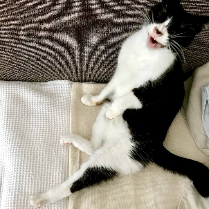 Cb25490b 4ccc 4d12 aeea cc9524c84214 1535004824727