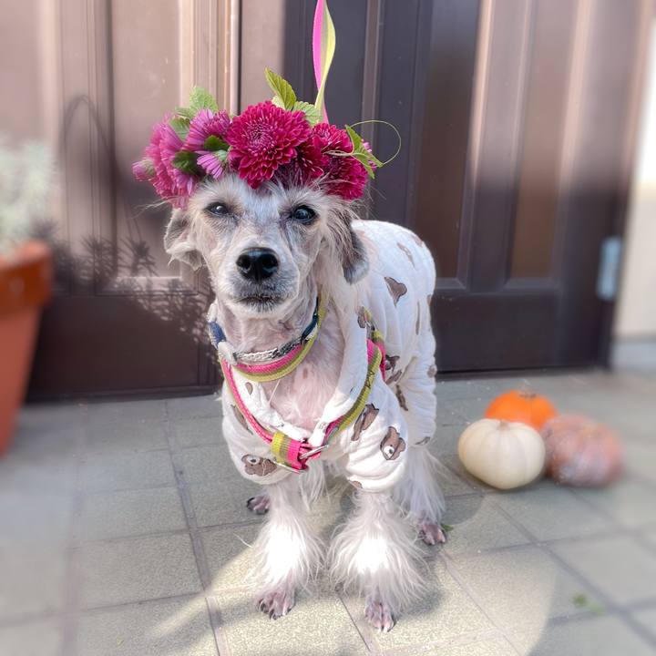 Cb25bf20 9d1f 4321 8dd8 ac592ed0e4a3 1763100445768