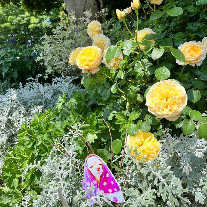 Cb25cccd dc5c 443b bd7d f9c93c81a55d 1653122502532