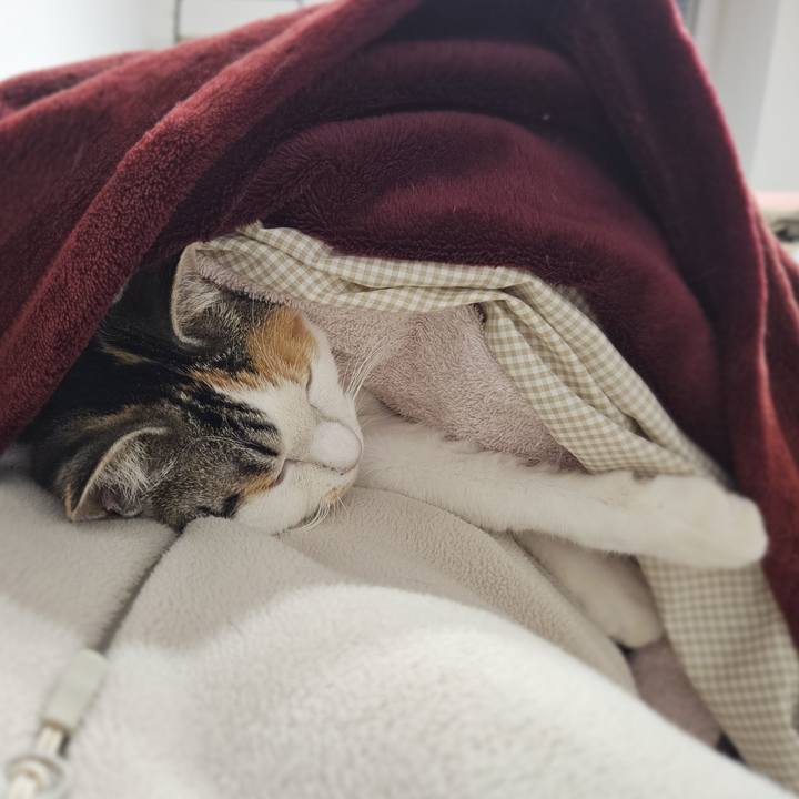 Cb25cd21 80d5 46fc be60 7ce8ab831300 1765881713252