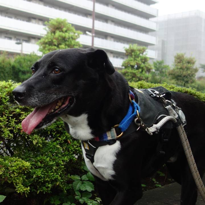 Cb25ce55 3a2c 4050 abd1 9910b13014b5 1661903868854