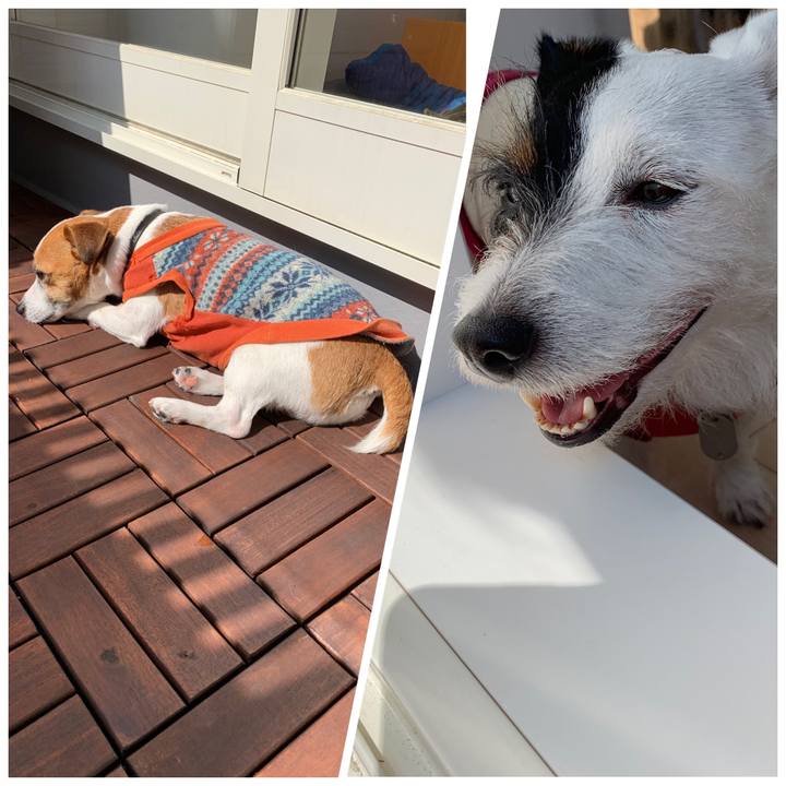 Cb25ef82 b7c5 438d 9e32 13ade5058e26 1551758790605