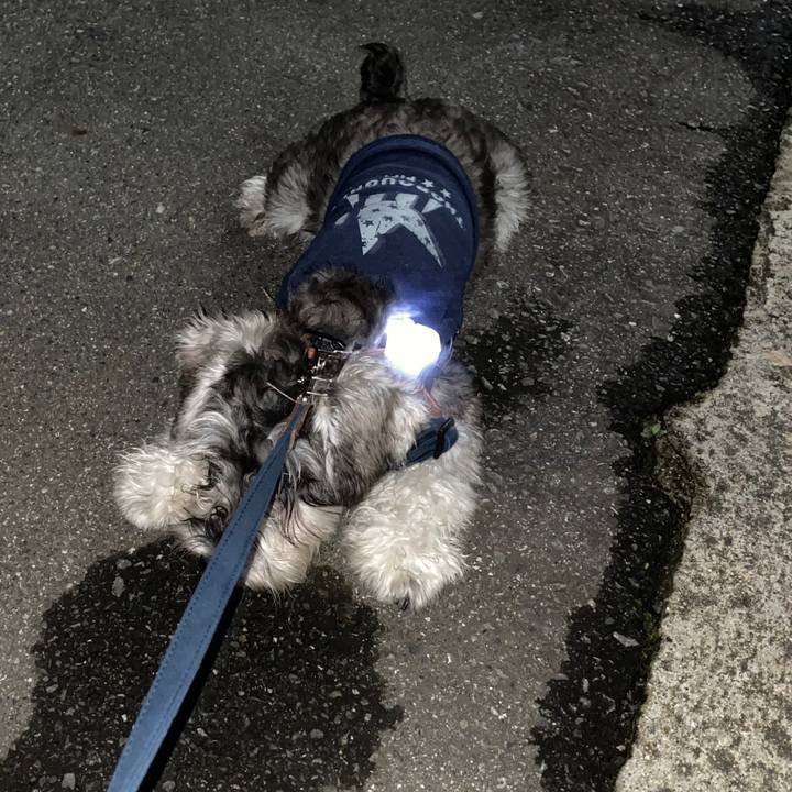 Cb260d37 644a 49e7 991e 9db665d4da91 1572367002401