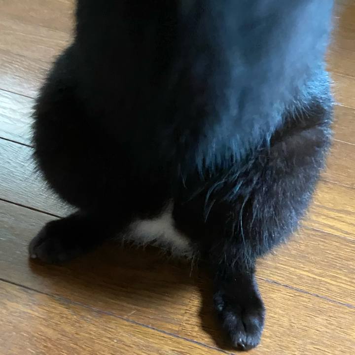 Cb2632ae 2ce3 479b 8836 fc13fc3be075 1688219748304