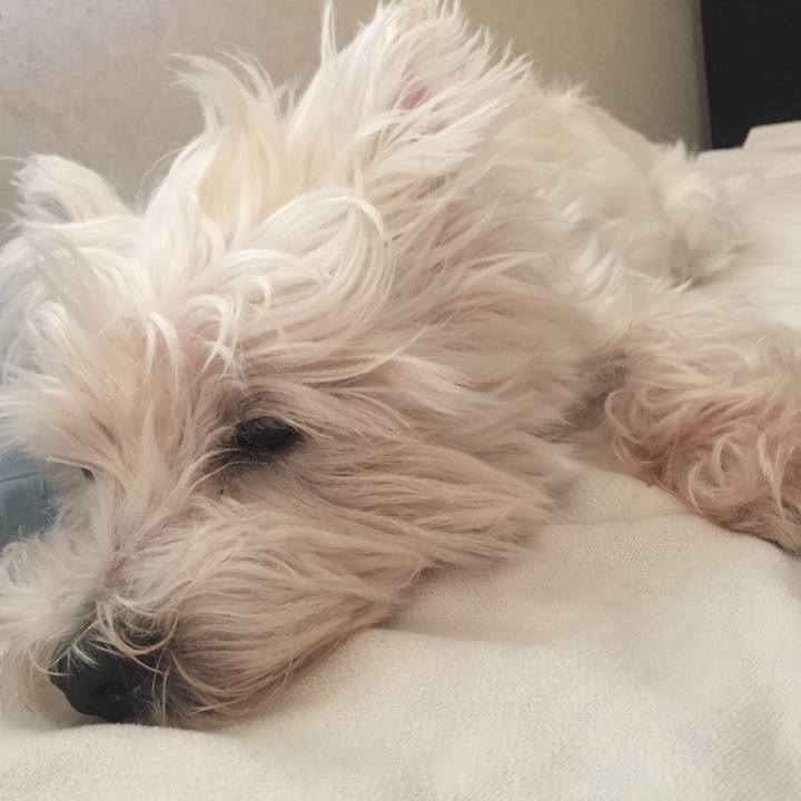 Cb2633db 7fbb 4331 8cc7 e7efd82f110f 1536622953665